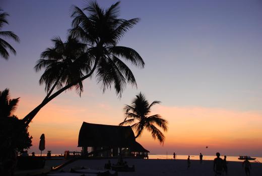 London & Maldives 2010 1061