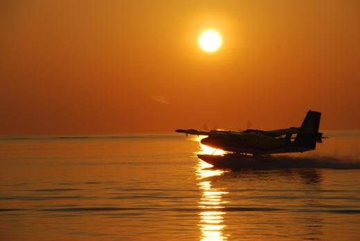 London & Maldives 2010 902