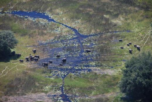 Botswana from the air