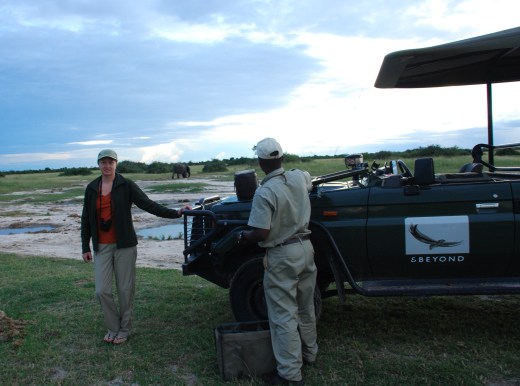sundowners with elephants