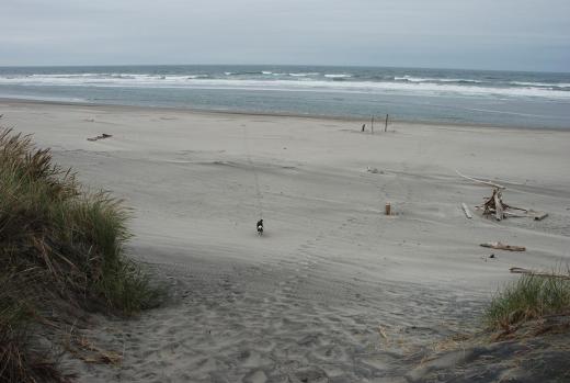 A wide open beach near the South Jetty close to Astoria.  We had the beach all to ourselves.