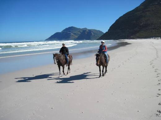 horseback on the beach 1
