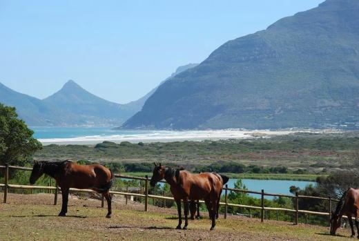 Noordhoek Beach from the farm