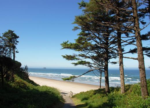 The trail down to Hug Point beach, Oregon.