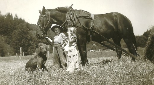 My mother, a friend, her dog Rusty and thier workhorse Nig.