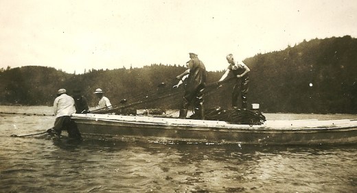 Pulling in the nets, (from my mother's collection)