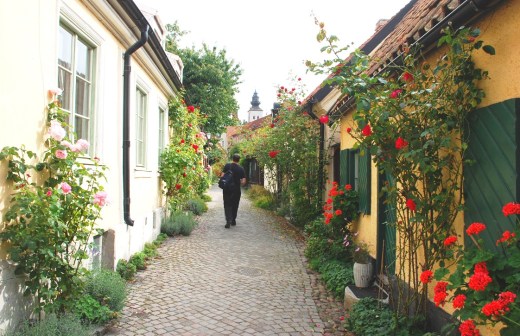 street of roses