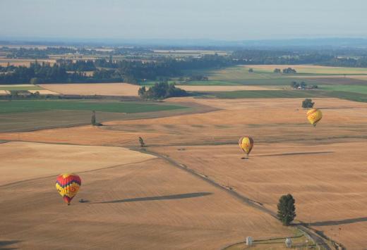 Some of the balloons touch down in the field.