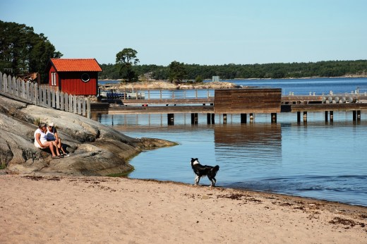 Dogs on the beach in Sandhamn