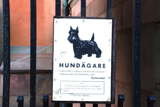 This sign on a gate in Gamla Stan warns people to be mindful of the laws on dogs in church, one of the few places dogs do not seem to be allowed.