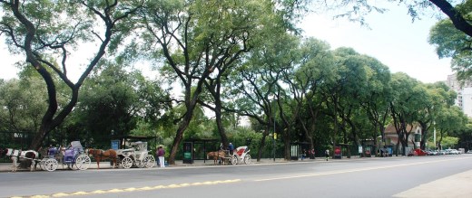 Horse carriages along Ave Las Heras near the zoo,