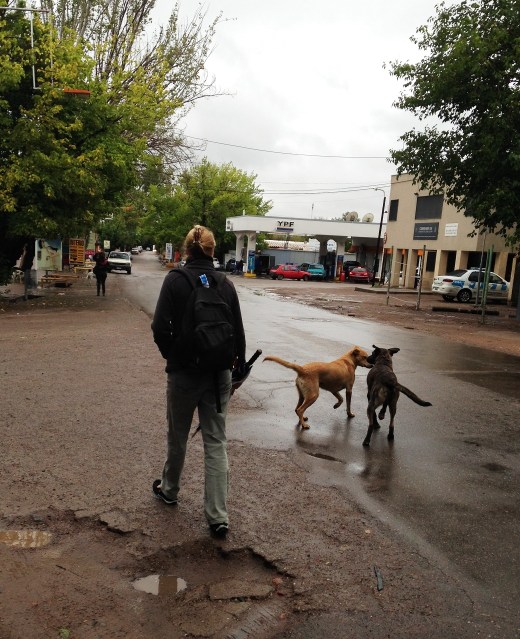 Walking across town with a two dog escort.