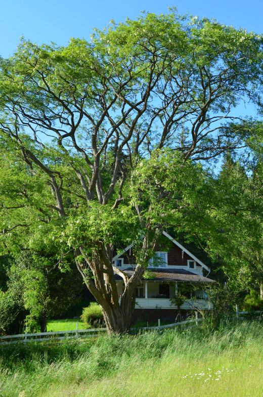 My mother's house in Oregon.