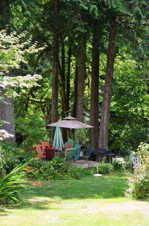 The cabin's deck, grill and fire pit