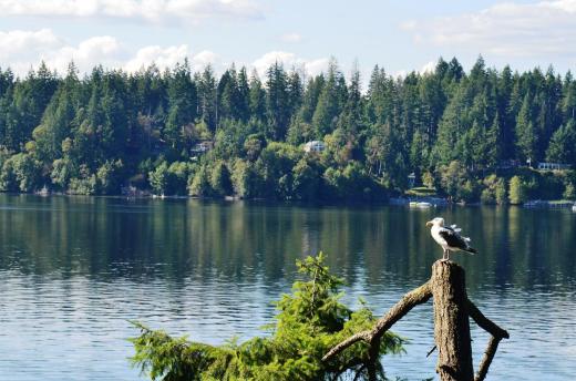 The view from the deck