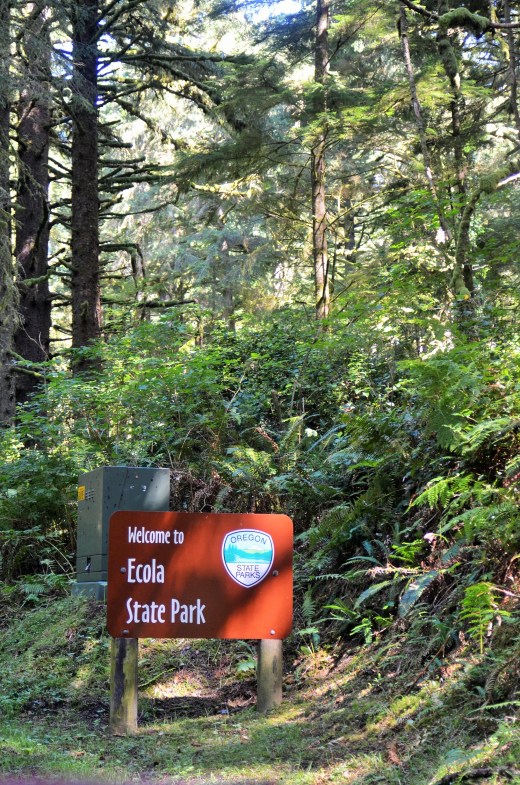 Driving through the Oregon rain forest, the road leading to Ecola State Park and Indian Beach