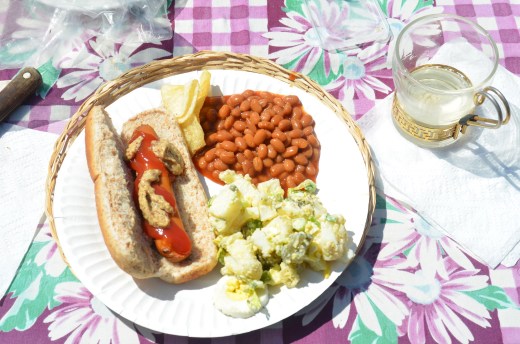 "Smart Dog" soy hot dog, potato salad, and vegetarian baked beans. Yum.