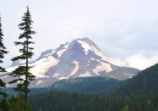 Mt. Hood