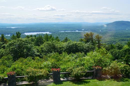 The view from Olive's bedroom