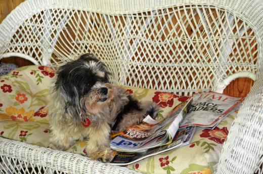 Viv enjoys some down time.