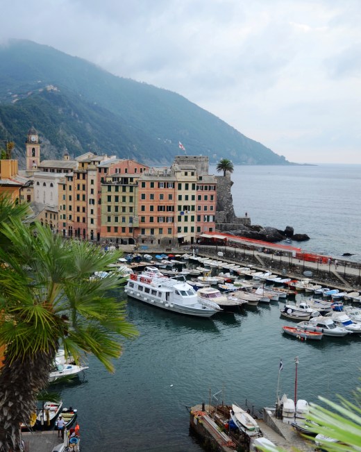 The port of Camogli