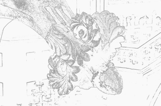 Retouched detail photo, using the Nikon "color outline" feature.