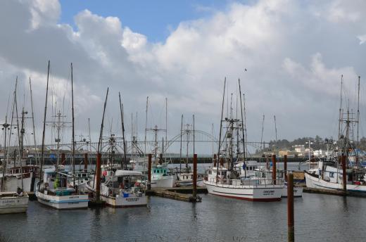 Boats in the Newport, Oregon harbor