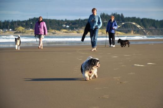 Everyone enjoyed a walk on the beach
