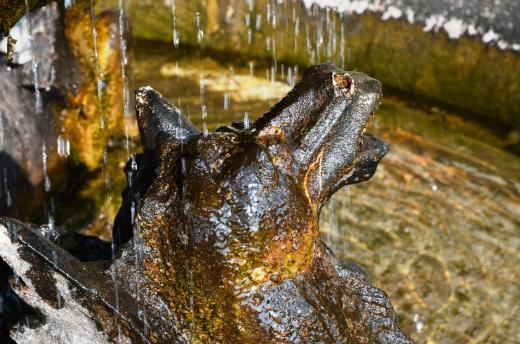 Fountain detail