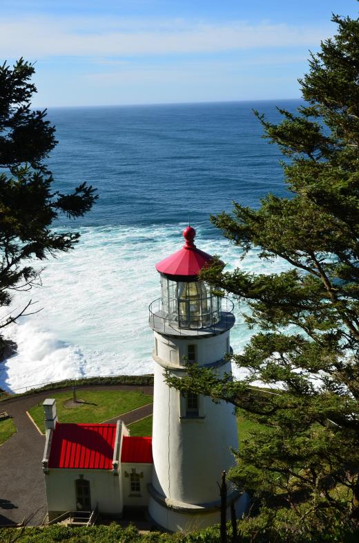 The Heceta Lighthouse taken from a trail behind the structure