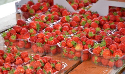 local strawberries