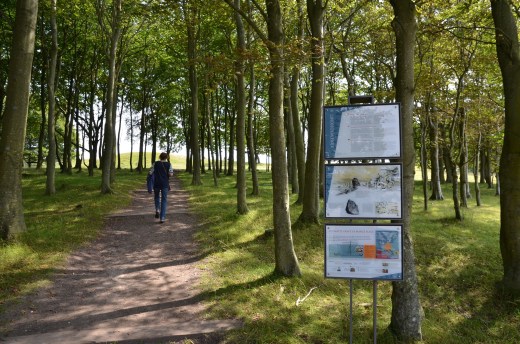 Part of the Lindholm Hoje Museum