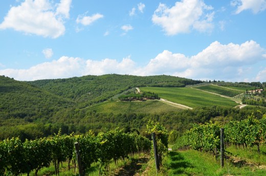 The view from the patio at al Paradiso