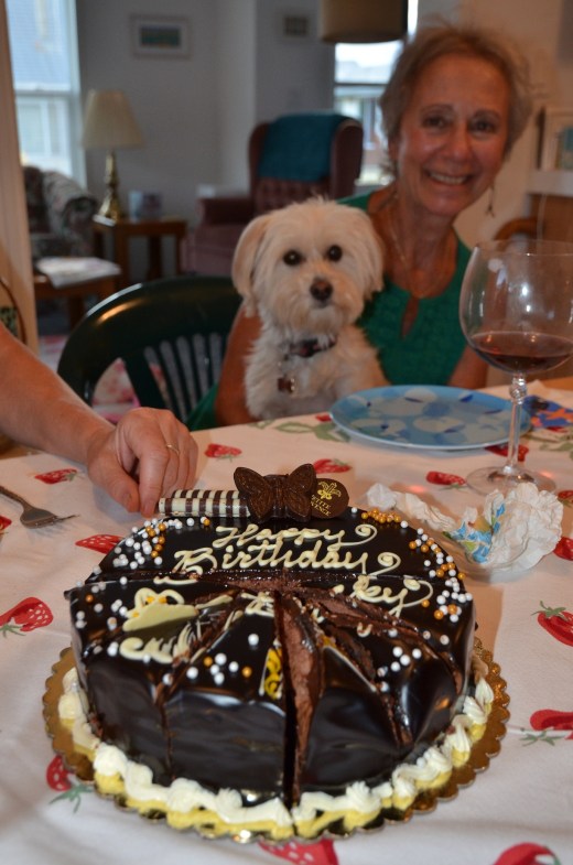 Four legged guest Moxie shows interest in the birthday cake