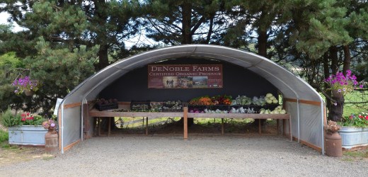 Roadside organic vegetable stand.