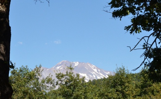 Mt Shasta from the deck