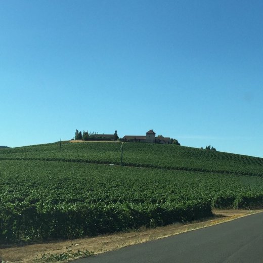 King Estate from the road (Photo downloaded from Yelp)