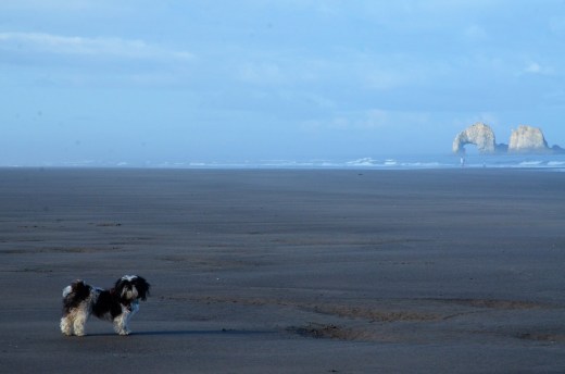 Scooter on Rockaway Beach