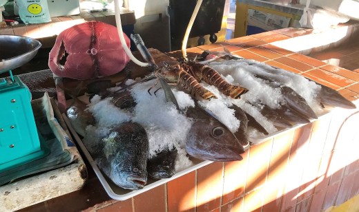 fresh fish