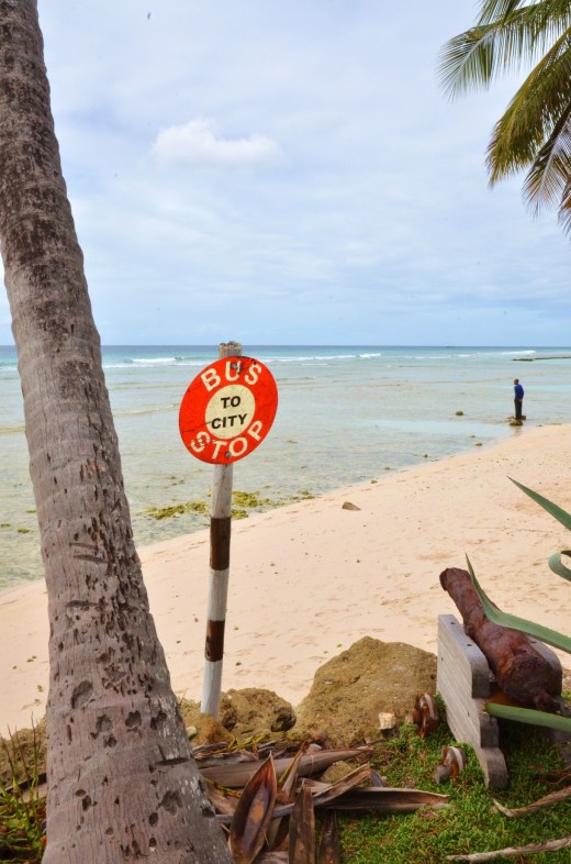 An unlikely bus stop