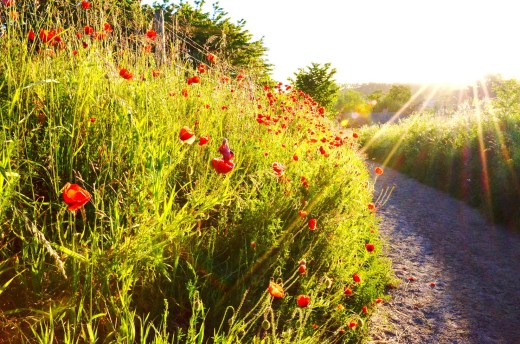 summer solstice sunrise