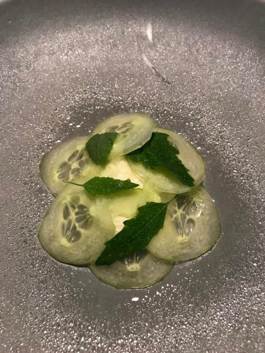 oyster, cucumber and juniper