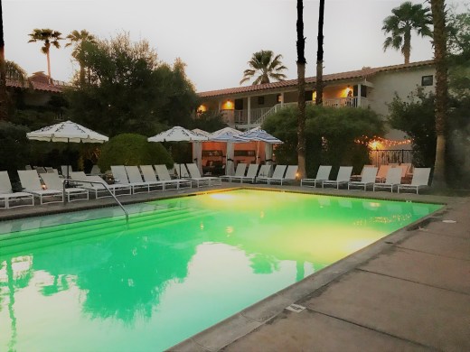 purple palms pool (2)