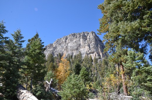 cathedral rock