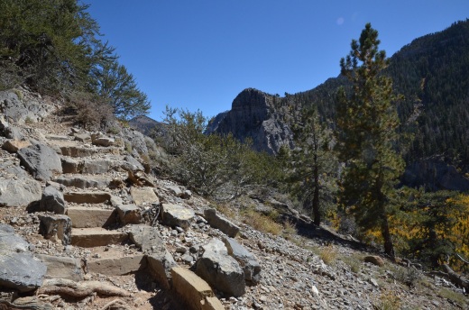 trail stairs