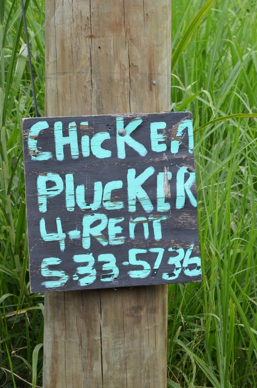 chicken plucker