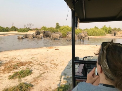 becky watching elephants